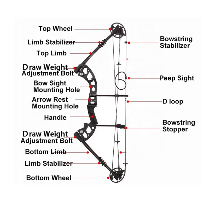 SPG Compound Bow Archery Hunting Metal Bow and Mixed Carbon Arrow Set Release Sight Rest Stabilizer Outdoor Sport Equipment